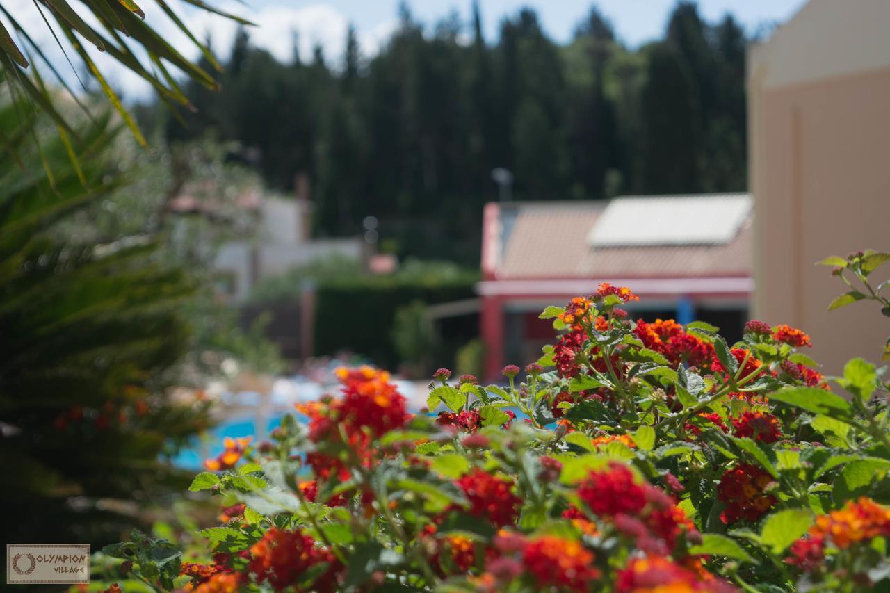 קאבוס Olympion Village מראה חיצוני תמונה
